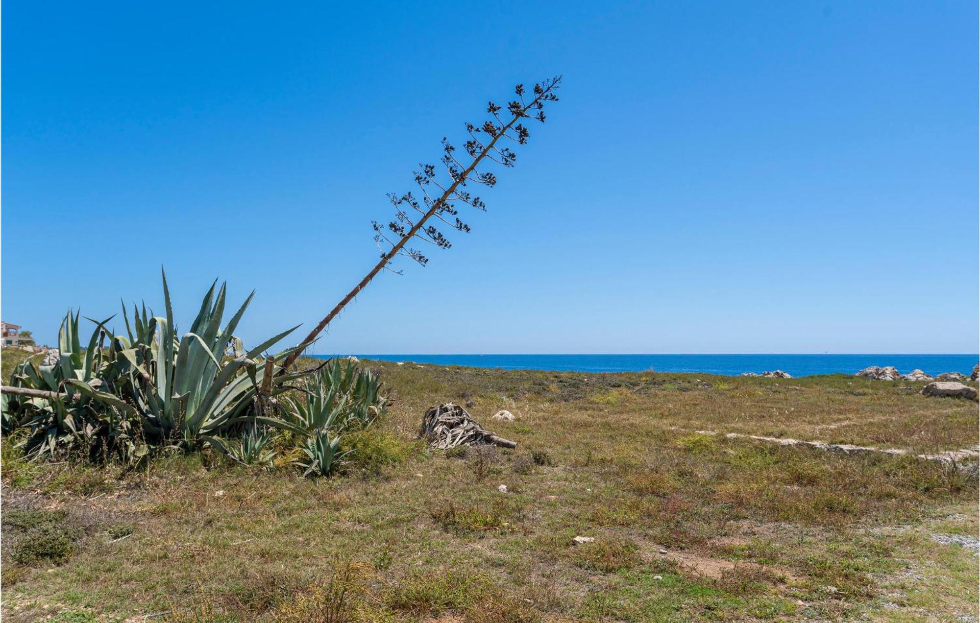 Appartement In Cala Morlanda With 1 Bedrooms S'Illot (Mallorca)